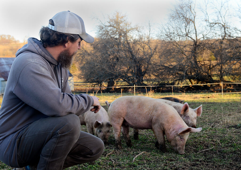 Andrew Geiser pets his pigs